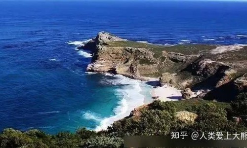 芭蕉油有什么药用价值网-分享芭蕉油有什么药用价值和作用，芭蕉汁液的功效知识库